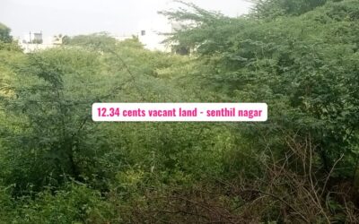 12.34 Cents Vacant Land Sale in Karumathampatti