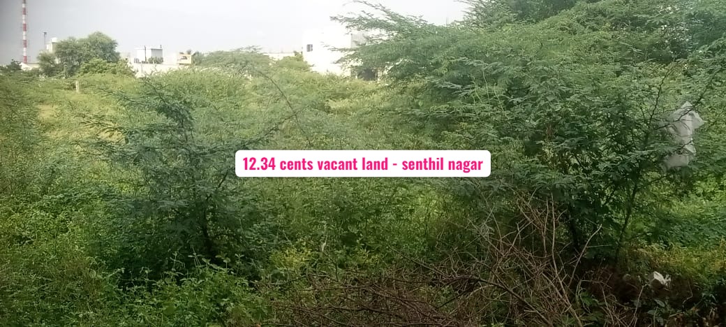 12.34 Cents Vacant Land Sale in Karumathampatti