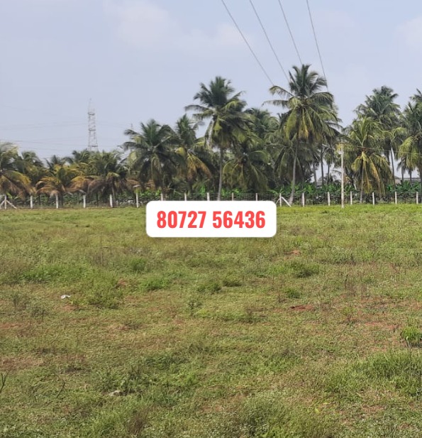 85 Cents  Vacant Land Sale in Periyakottai – Udumalpettai