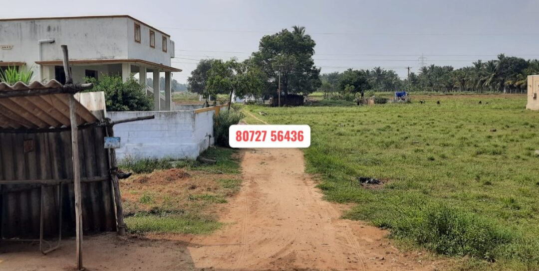 1.96 Acre Vacant Land Sale in Periyakottai – Udumalpettai
