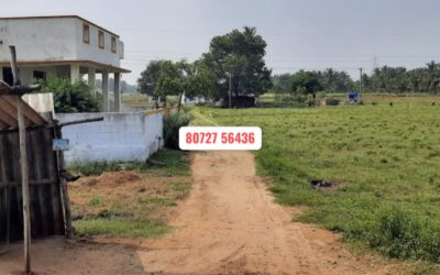 1.96 Acre Vacant Land Sale in Periyakottai – Udumalpettai