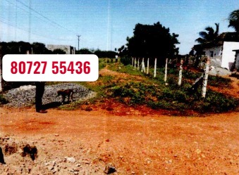 2.60 Acres Vacant Land Sale in Ichipatti