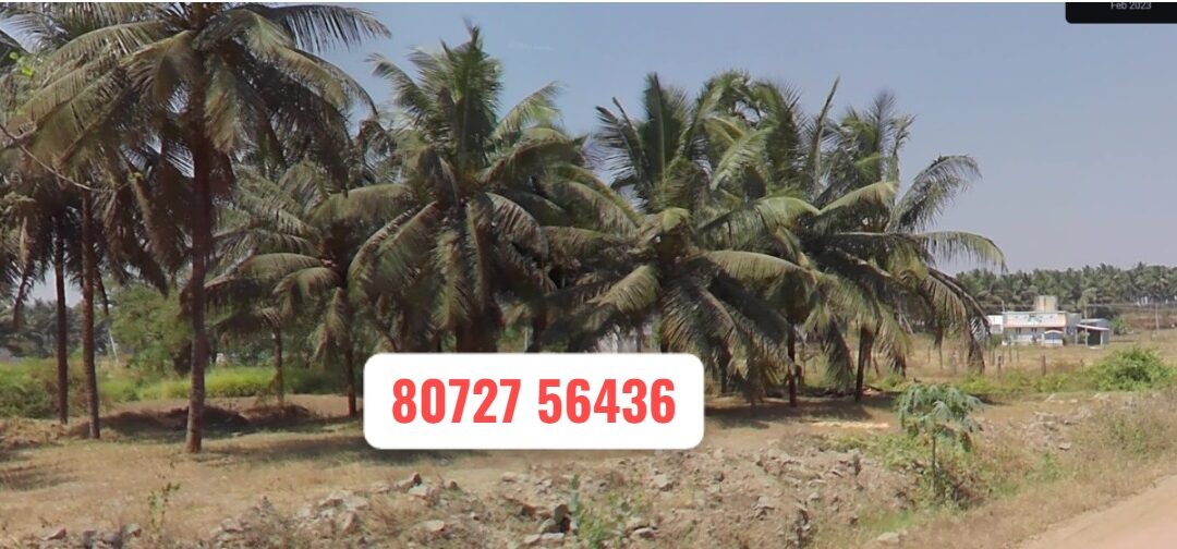 49 Cents Vacant Land Sale in Myleripalayam to Arasampalayam On Road Property