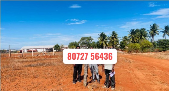 80 Cents Vacant Land Sale in Paruvai – Palladam