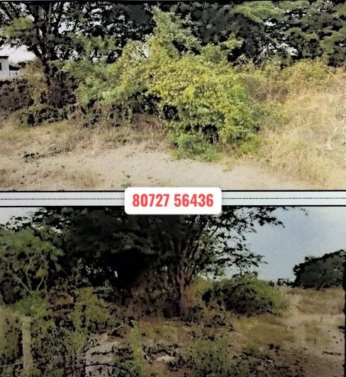 4.64 Cents Vacant Land Sale in Dharapuram