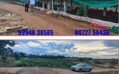 2.56 Acers Land with Poultry Farm Shed sale in Palladam