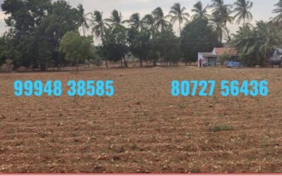 83.25 Cents Vacant Land sale in Bungalowpudur – Kangeyam