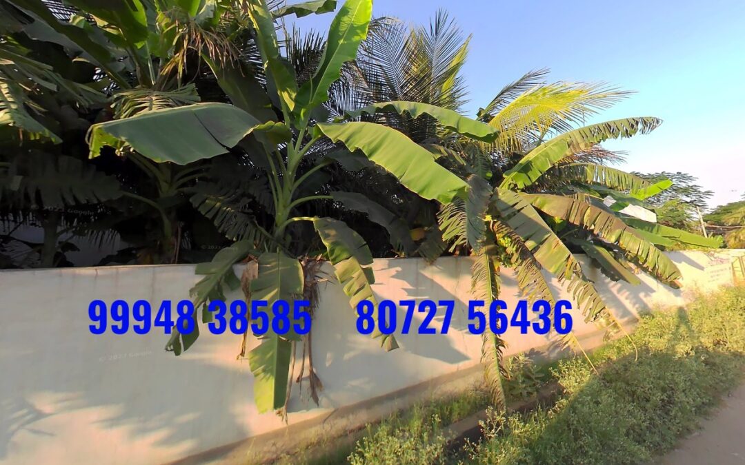 40 Cents Land with Building sale in Avinashi