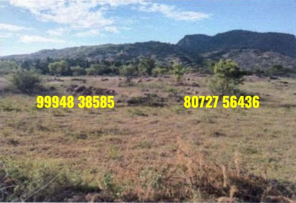 15.55 Acres Vacant Land sale in Andipatti – Palani