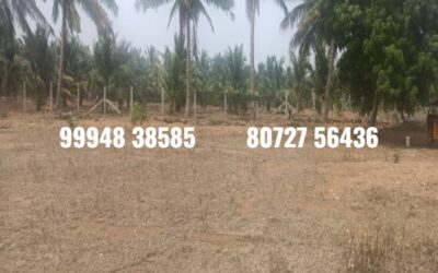 11 Cents DTCP Land Sale in Pongalur -Palladam