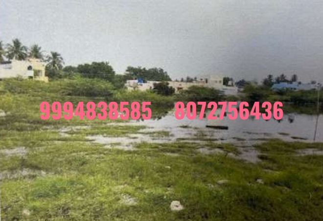 117 Cents Vacant Land sale in Chinnadharapuram – Karur