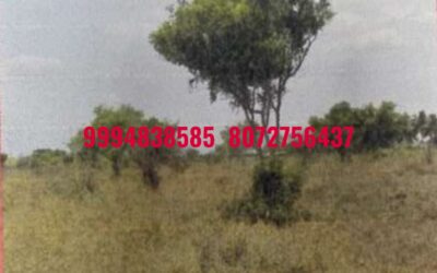 2.10 Acres Vacant Land sale in Karumathampatti