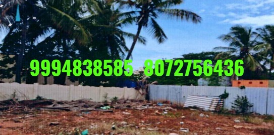 5 Cents 222 Sq.Ft Vacant Land sale in Pattanam