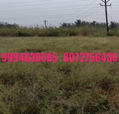 40.75 Cents Vacant Land sale in Samalapuram – Somanur