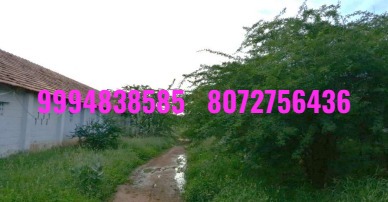 12.52 Cents Vacant Land sale in Karuvampalayam -Tiruppur