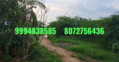 12.43 Cents Vacant Land sale in Karuvampalayam – Tiruppur