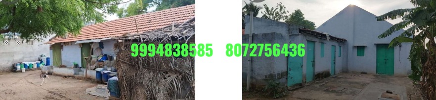50 Cents Land with Tiled Roof Building sale in Karuvampalayam -Tiruppur