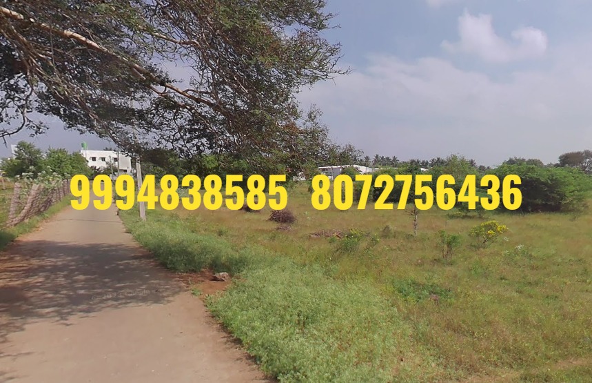 1.42 Acres Vacant Land sale in Palangarai – Avinashi