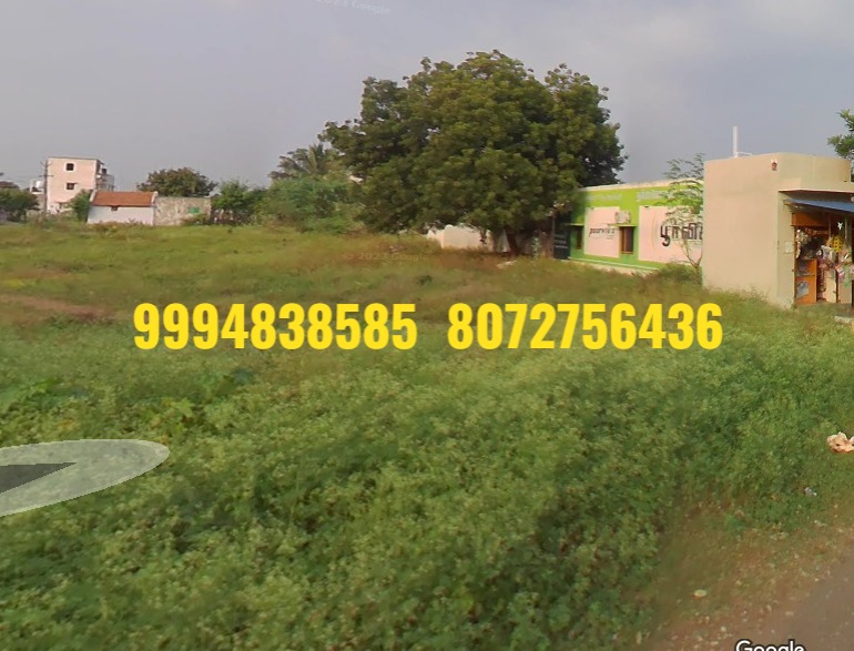 61 Cents Vacant Land sale in Palankari – Avinashi (On Road Property)