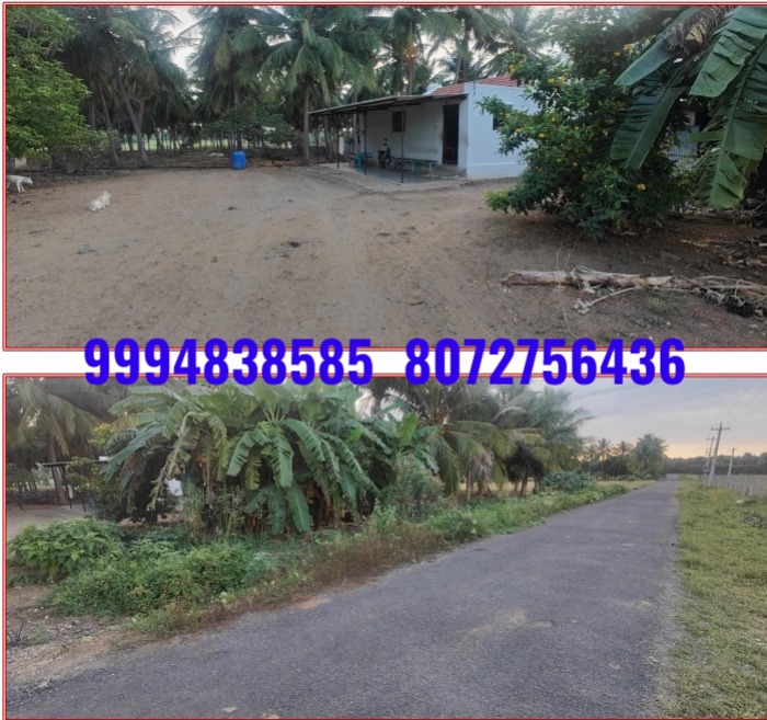 5.47 Acres Land with Tiled Roof House Building sale in Vadachinnaripalayam – Kangeyam