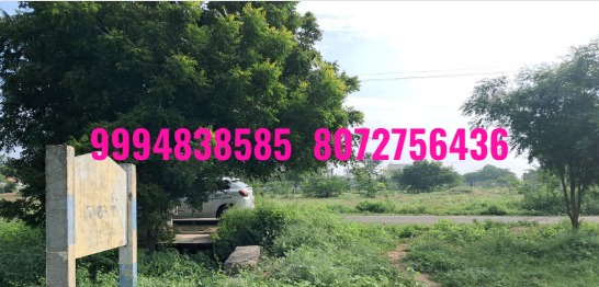 1 Acre 24 Cents  Vacant Land sale in Thalapatti – Karur