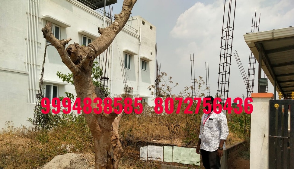 3 Cents 193 Sq.Ft  Vacant Land Sale in Kinathukadavu