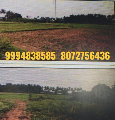 3.33 Acres  Land with Building sale in Periyakumarapalayam – Dharapuram