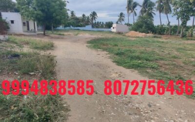 24 Cents Vacant Land sale in Senapathipalayam – Mulanur ( On Road Property)