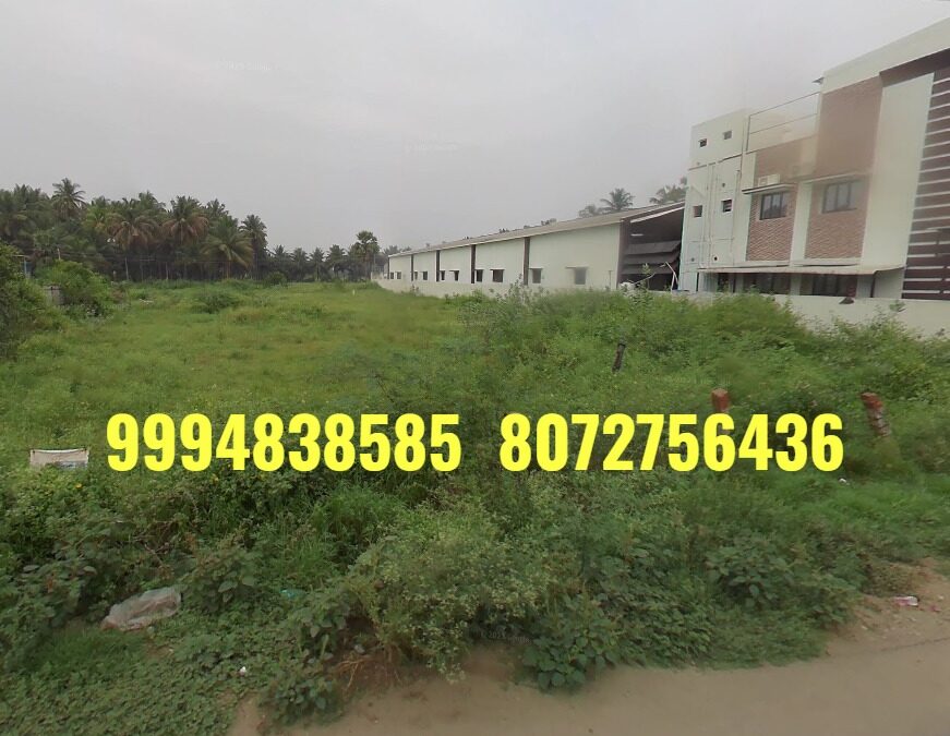 25 Cents Vacant Land sale in Chinnavedampatti(On Road Property)