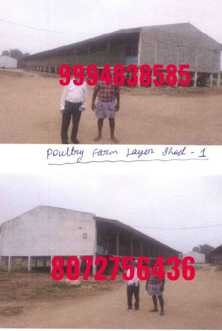 3.06 Acres Land with Poultry Form sale in Selakarichal – Sulur (On Road Property)