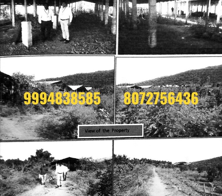 2.03 Acres Agri Land with Brick Dry Yard Shed sale in Nanjundapuram – Coimbatore