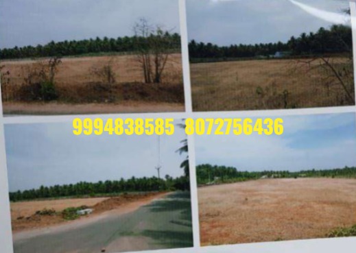 3.34 Acres  Vacant Land sale in Thimmankuthu – Pollachi