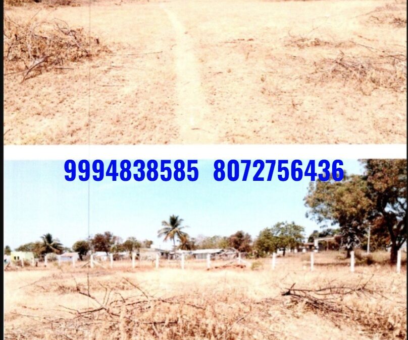 1.34 Acre  Vacant Land sale in Punjai puliampatti