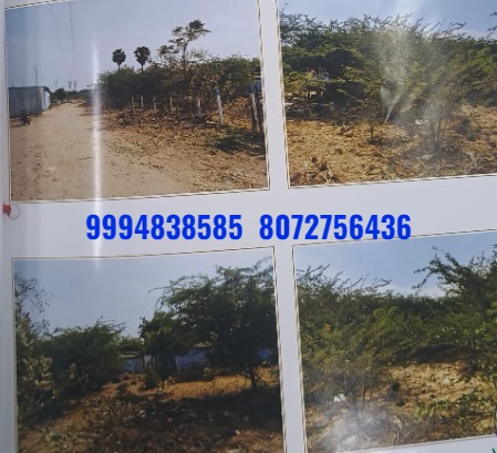 23 Cents 218 Sq.Ft  Vacant Land sale in Puliyakulam