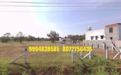 81 Cents  Vacant Land sale in Karegoundenpalayam