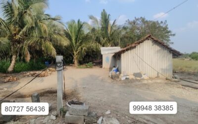 1.845 acres Land With Farm House sale in Vagatholuvu – Udumalpet